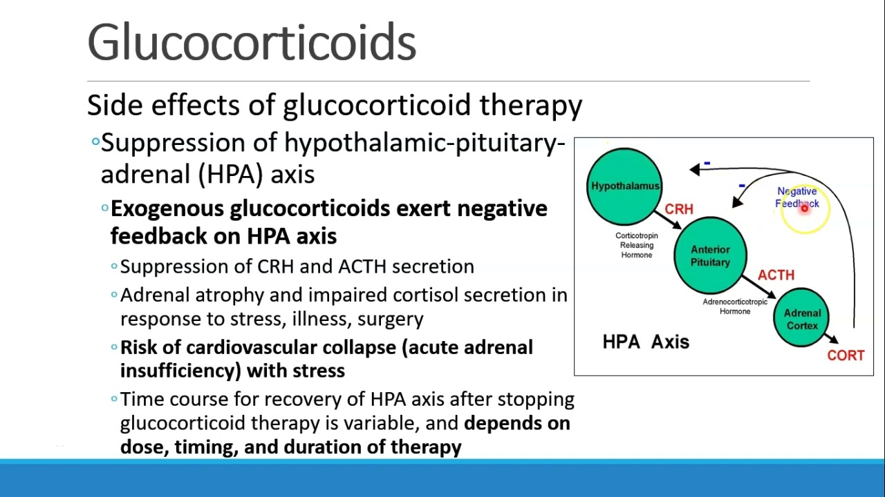 Pharmacology for Anesthesia 16 Endocrine Part 1