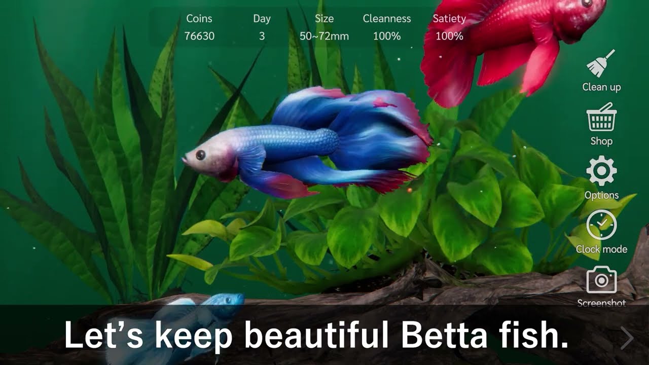 Bettarium - Betta Fish Tank App