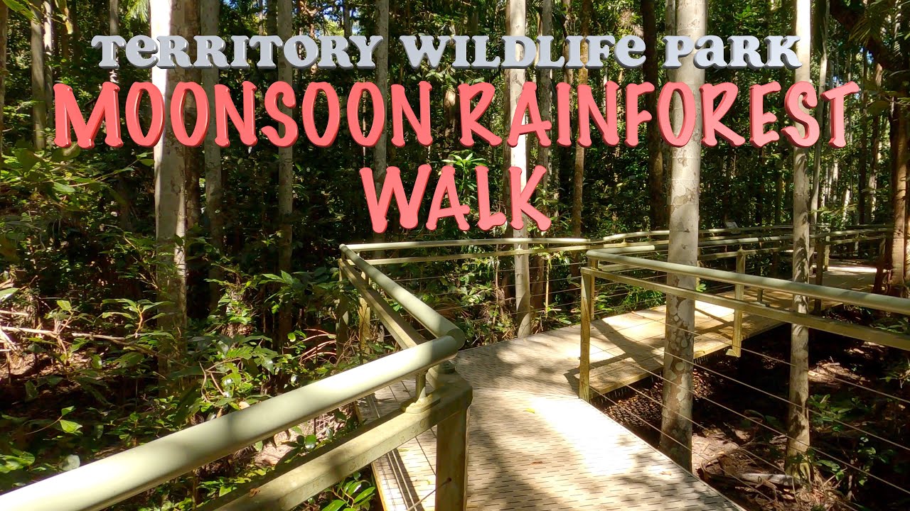 🇦🇺Territory Wildlife Park | Monsoon Forest Walk | 4K [2021]