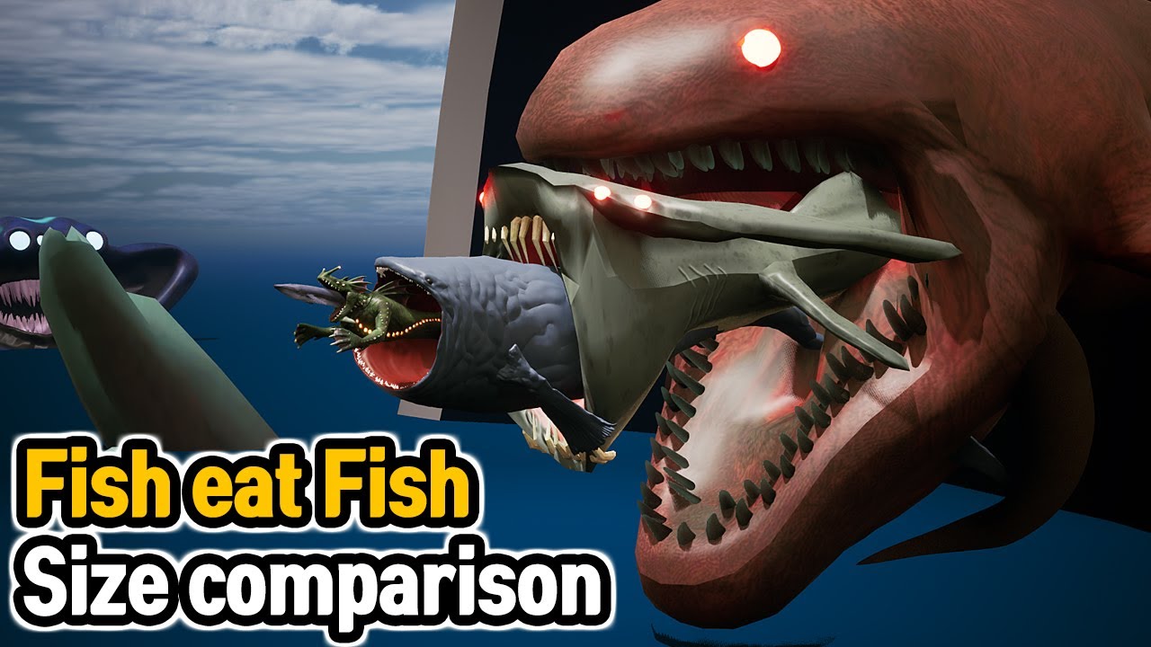 Fish eat Fish : Size Comparison