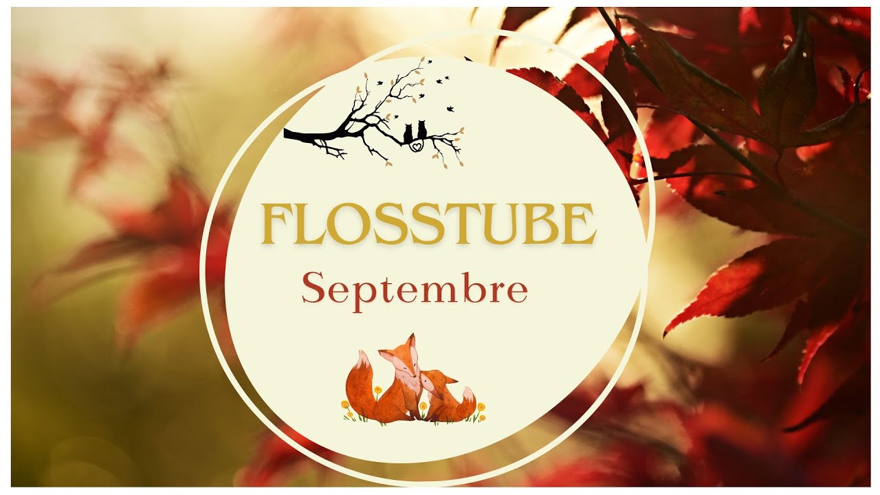 Flosstube Septembre #flosstube #pointdecroix #embroidery