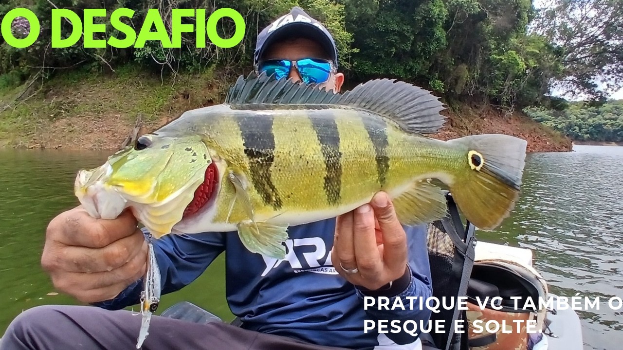Observação é tudo na pescaria, represa cachoeira da fumaça pousada parque Miracatu!!!