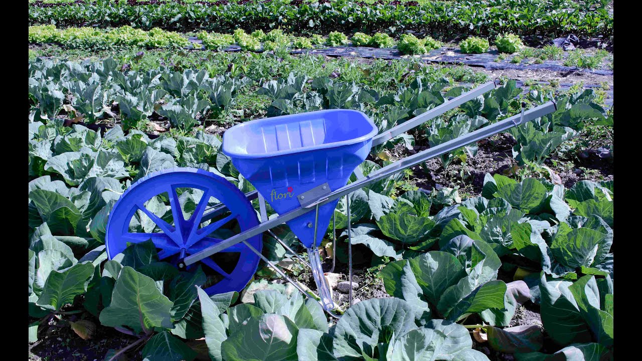 Düngerschubkarre flori - Carriola spandiconcime flori - Fertilizer trolley flori
