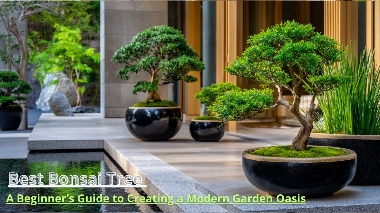 Top 10 Bonsai Trees for Outdoor Garden Landscaping in Small Spaces