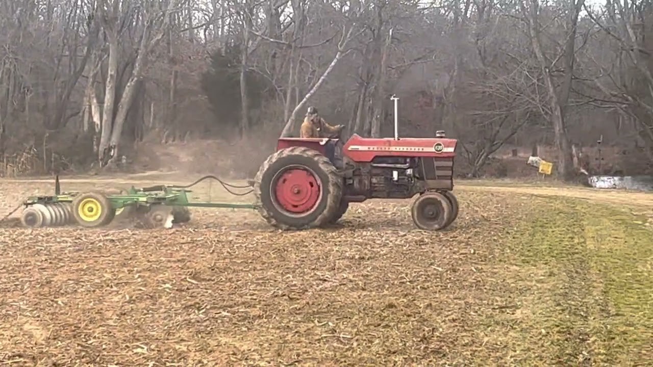 Massey Ferguson 1130 rescued from salvage yard disking for the first time after sitting 10 years