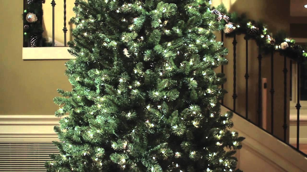 Sams 12ft Slim Christmas Tree