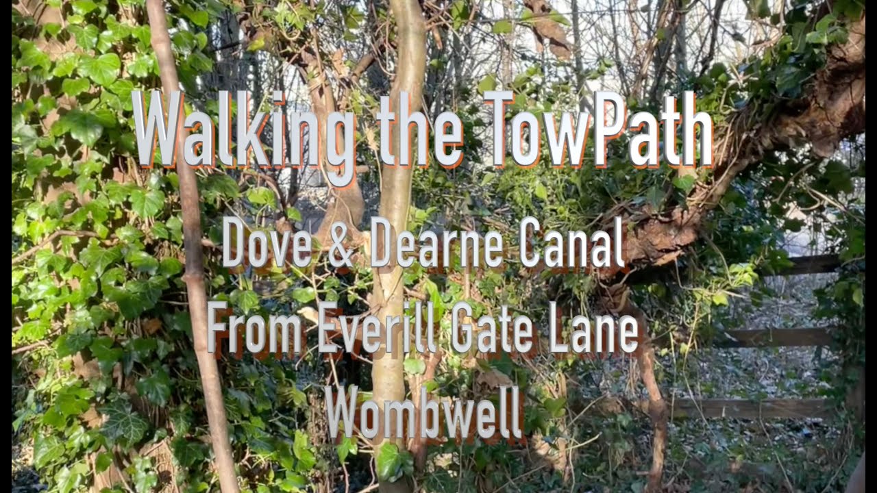 Walking the Towpath ( Dearne & Dove ),