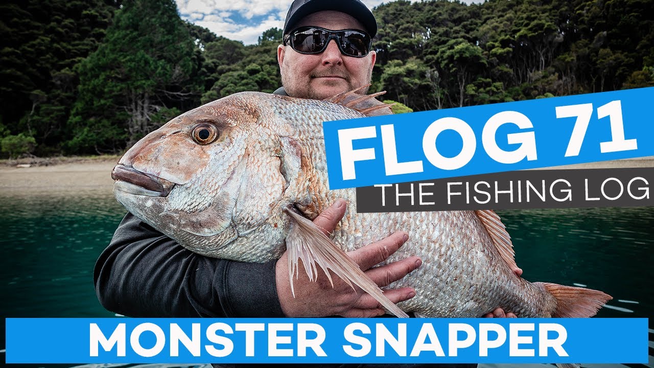 Flog 71 // Biggest Ever Snapper Day two of the D'Urville Island Fishin Competition