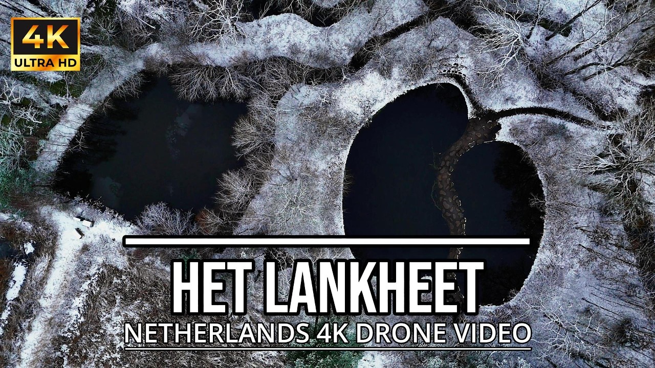 Drone flight through Nature Netherlands | Cinematic 4K Video | DJI Mini 5 Pro