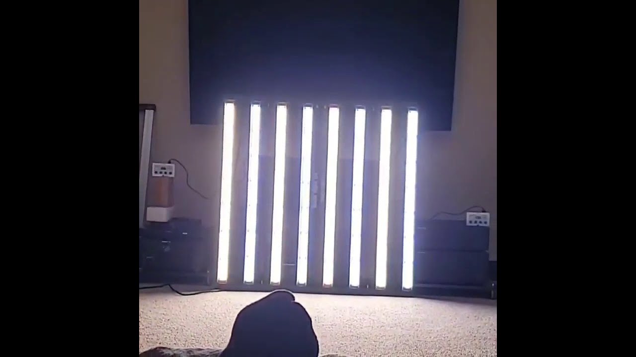Dank Light Co Pro Line Dual Remote Channel Control