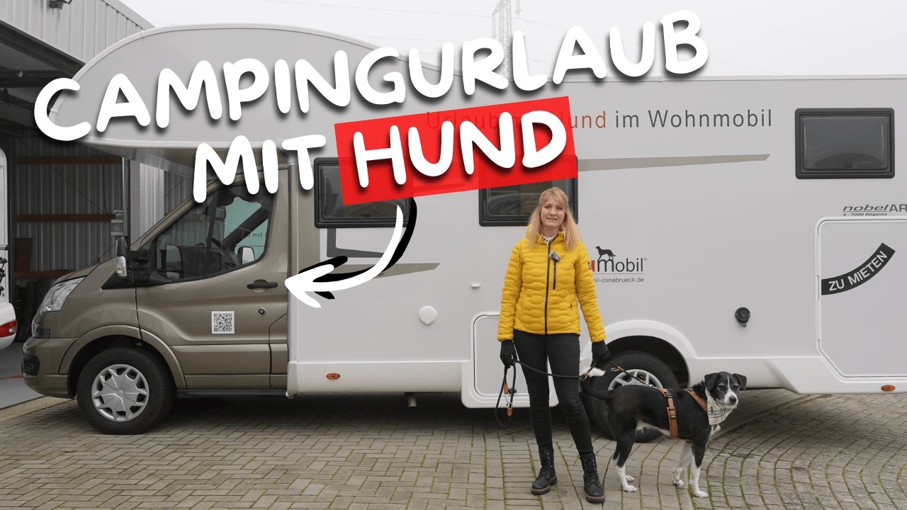 Camping-Urlaub mit Hund 🐶 Umbau und Vermietung hundgerechter Wohnmobile ➡️ Waumobil