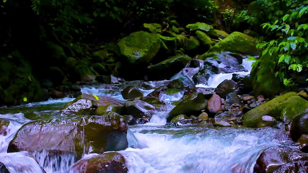 Mountain River at Midnight | 10 Hours Relaxing Forest Water Sounds for Sleep
