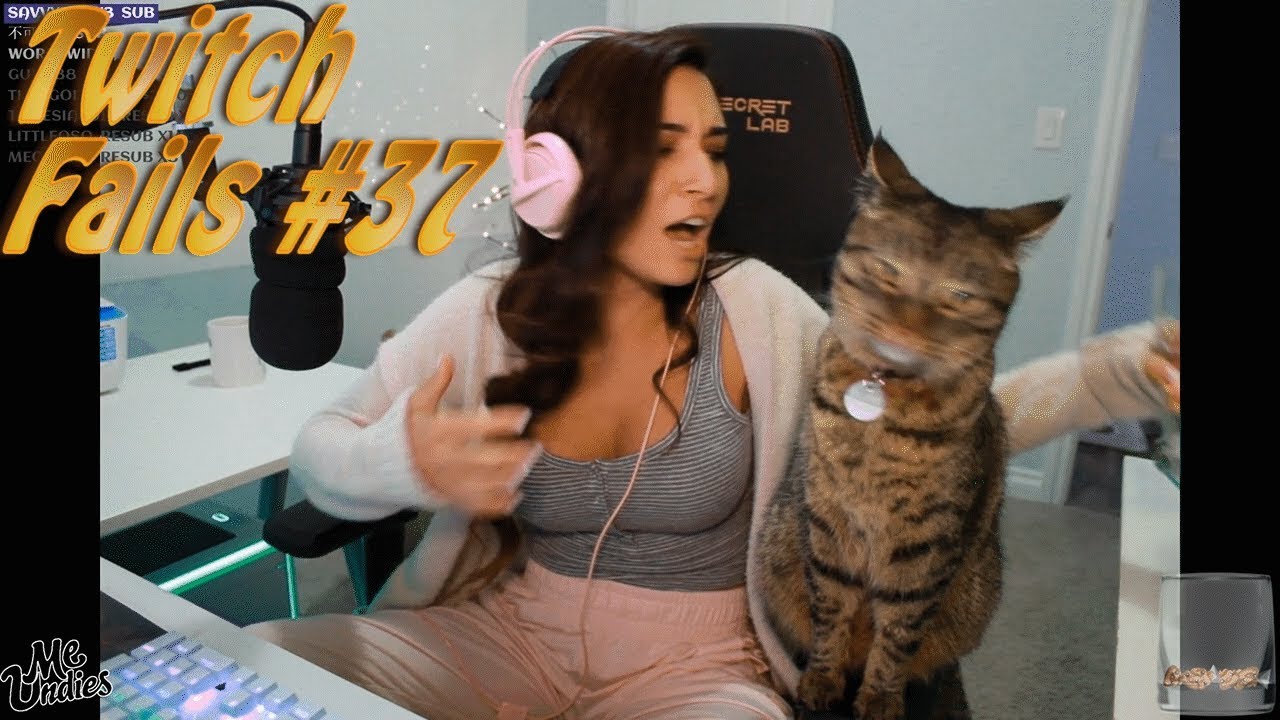 Ultimate Twitch Fails Compilation with Chat! 2017 #37