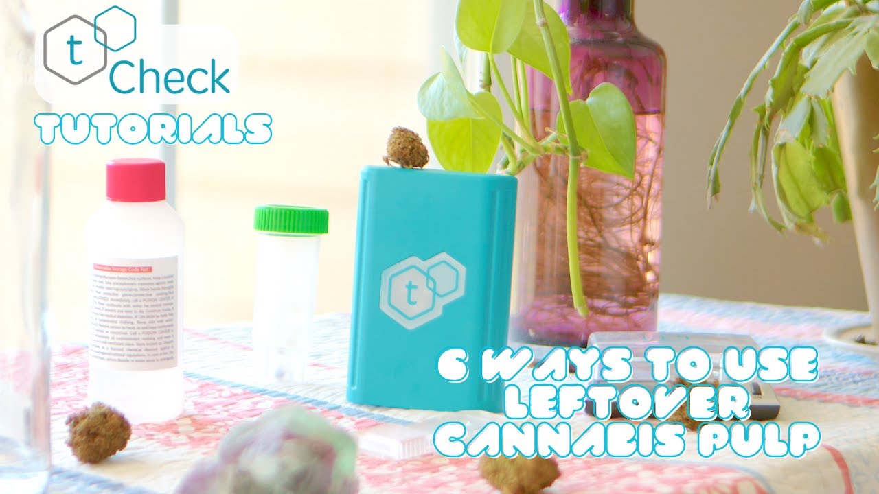 6 Ways to Use Leftover Cannabis Pulp (Part 2) | tCheck Tutorials