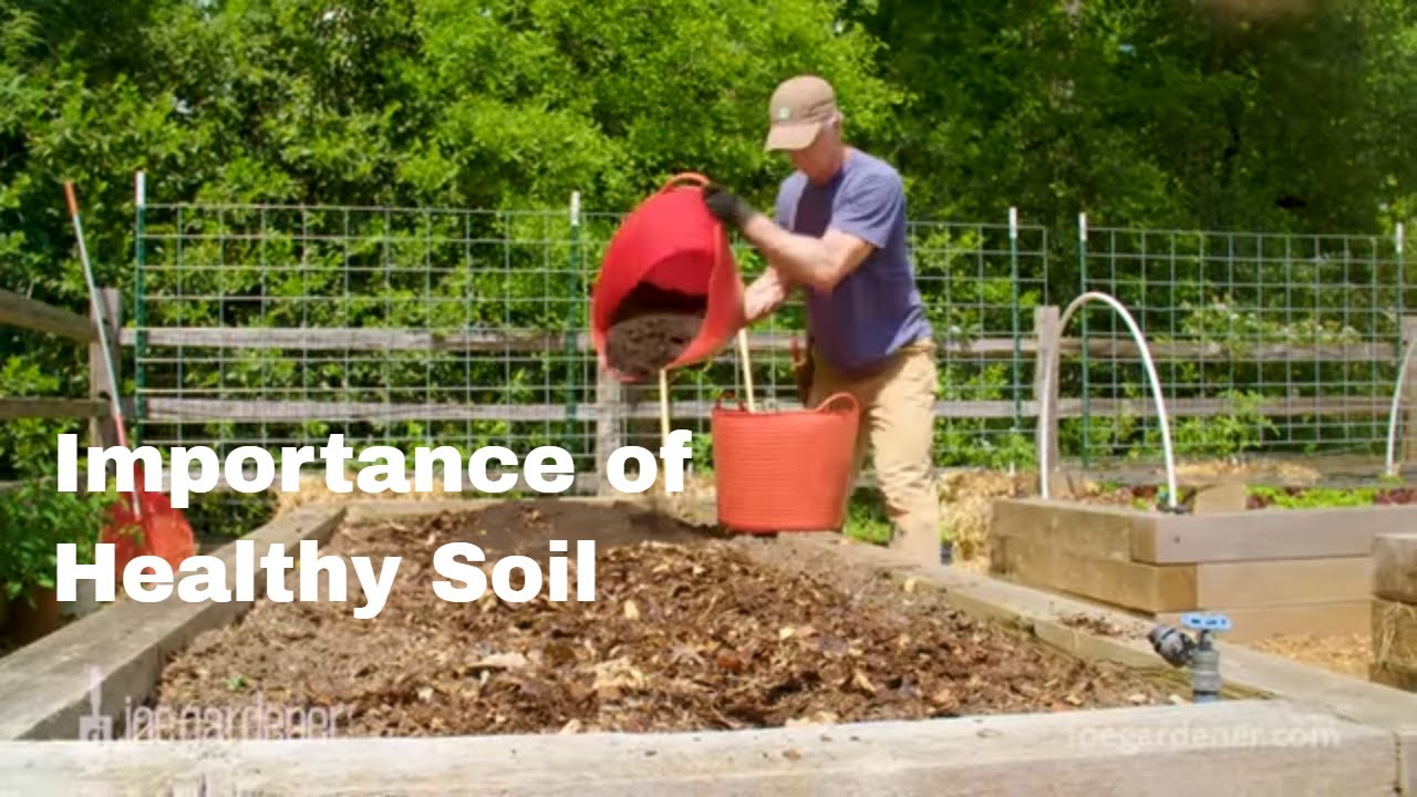 Feed the Soil, Let the Soil Feed the Plants