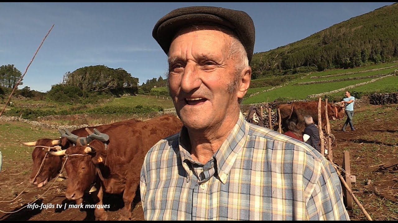 “ENTREVISTAS A PARTICIPANTES” – Escrepagem com Juntas de Bois – Rosais – Ilha S. Jorge (08.11.2025)
