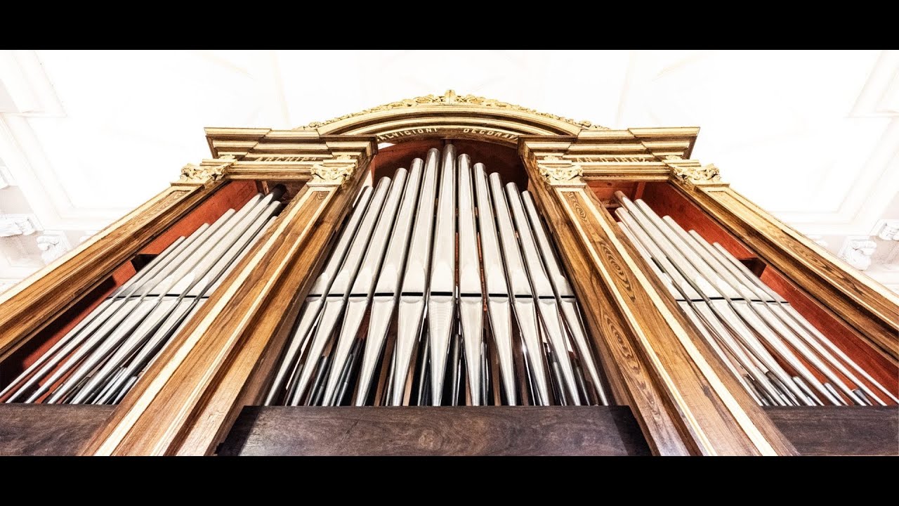 Organo: il medico dell'interiorità [Ep. 7 di Tastiere: alle fonti dello spirito]