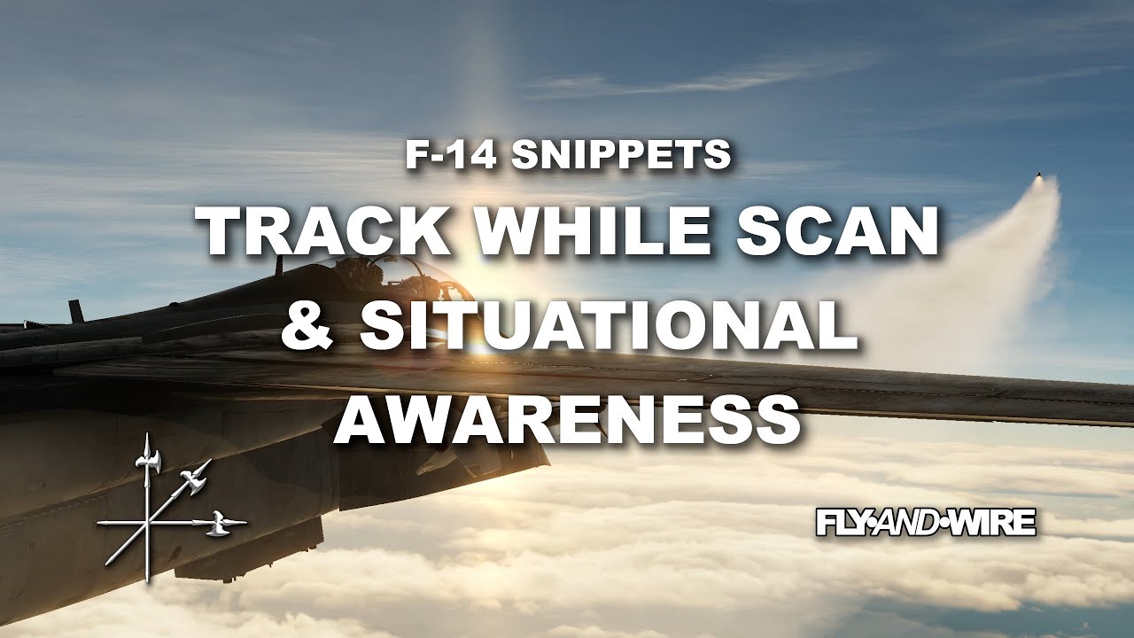 DCS F-14 Snippets: Track While Scan & Situational Awareness