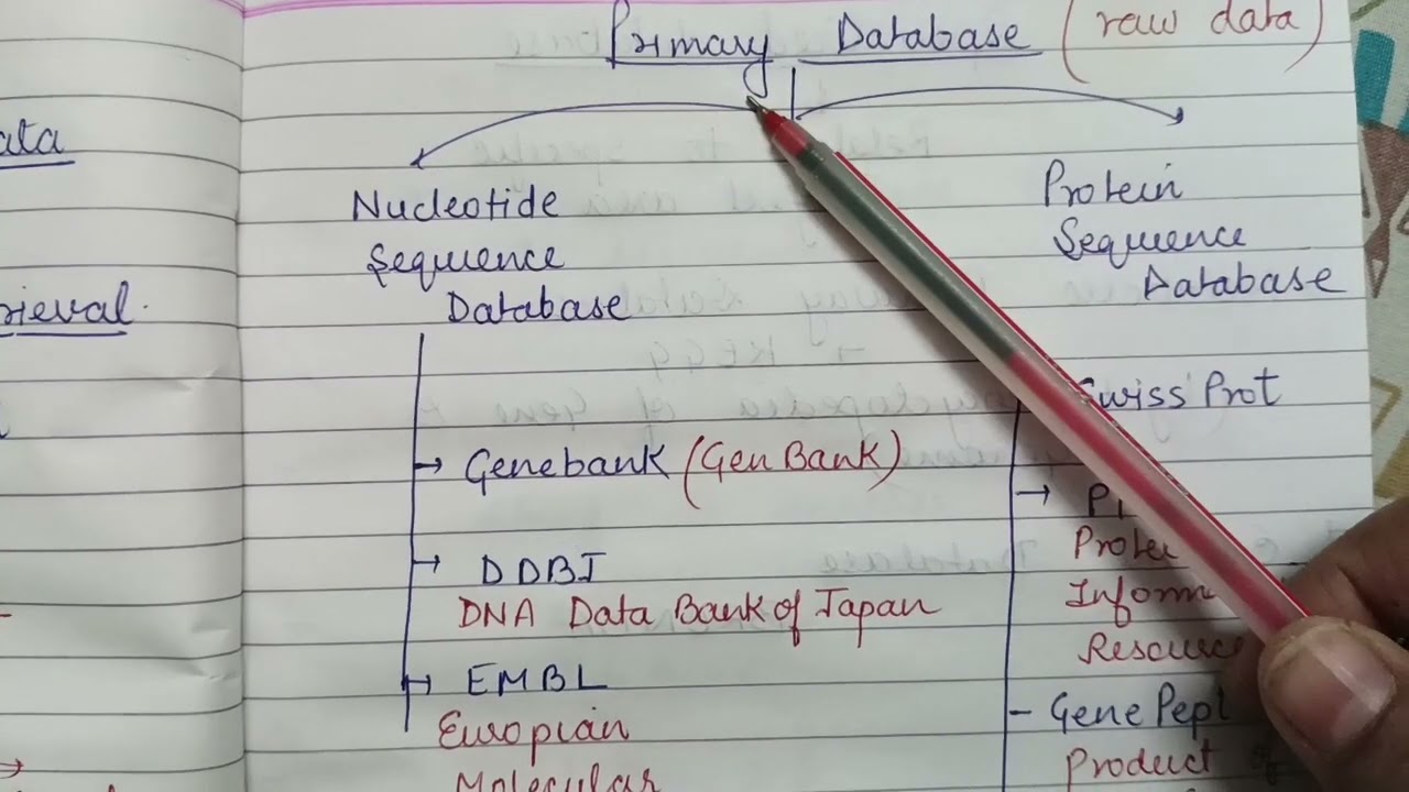 Biological Databases and Levenshtein distance
