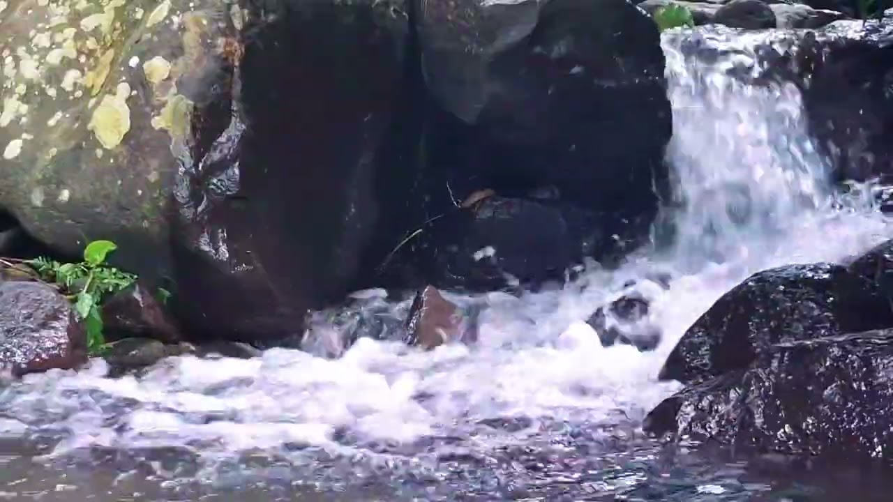 Calm River Water Sounds for Deep Sleep