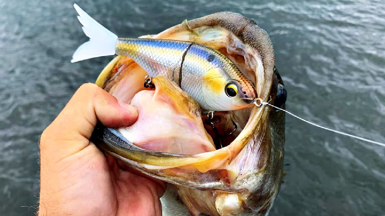 You'll NEVER Fish a Swimbait the same way after Watching THIS...