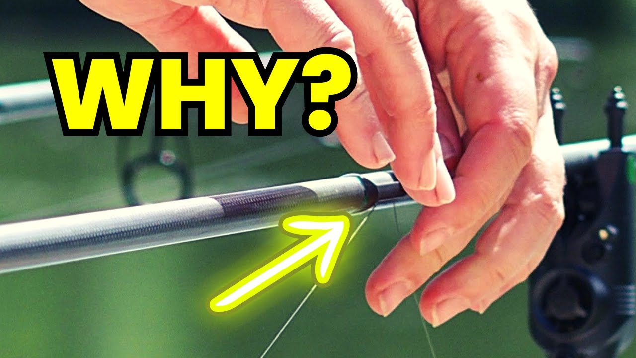 HOOK the carp better INSTANTLY❗