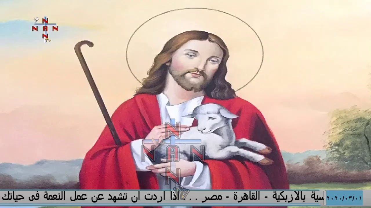 بث مباشر - الاب مكاري يونان