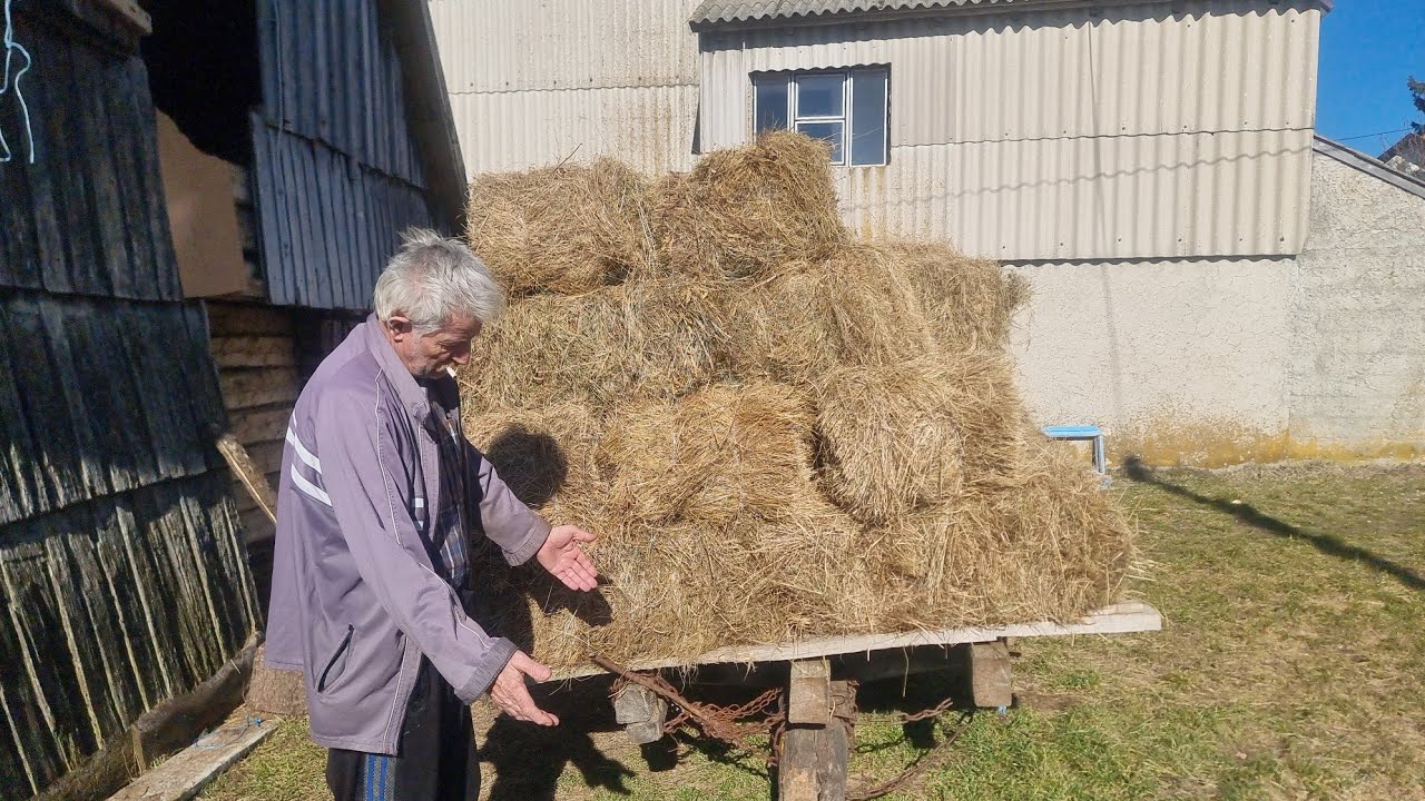 VLADO ima novost za gledatelje