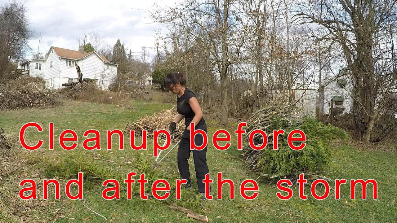 Yard cleanup from the storm