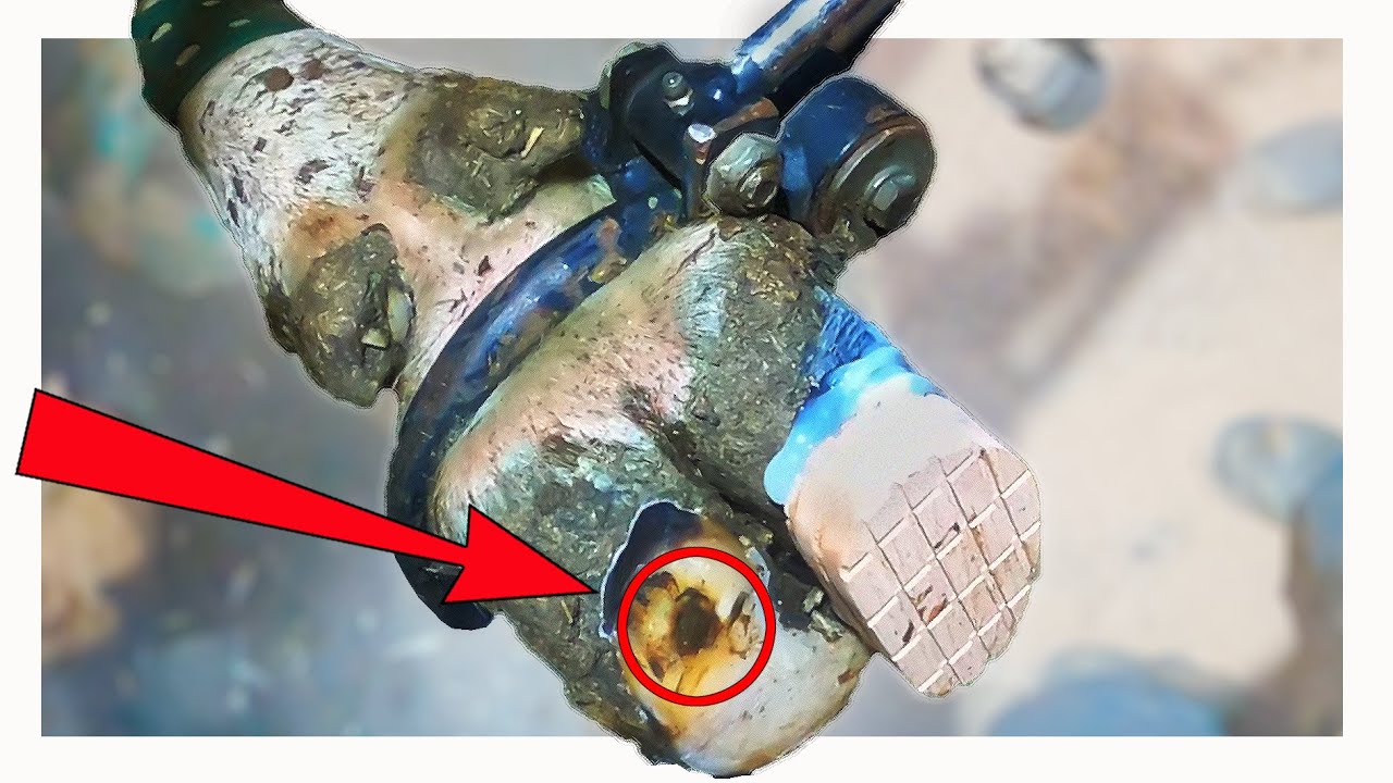 FIXING a HOLE in this COWS FOOT