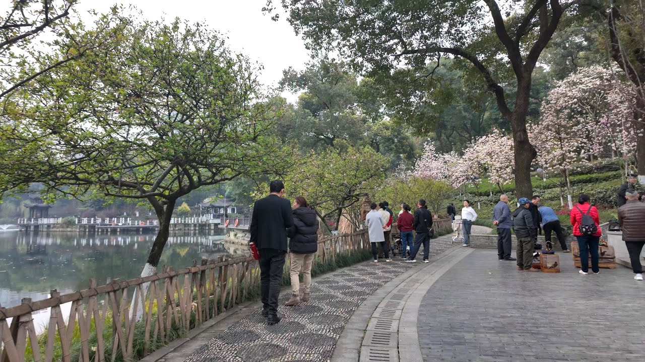 大清早来公园体验下大爷大妈幸福的退休生活 | 中国重庆 沙坪公园 散步 [4K HDR]