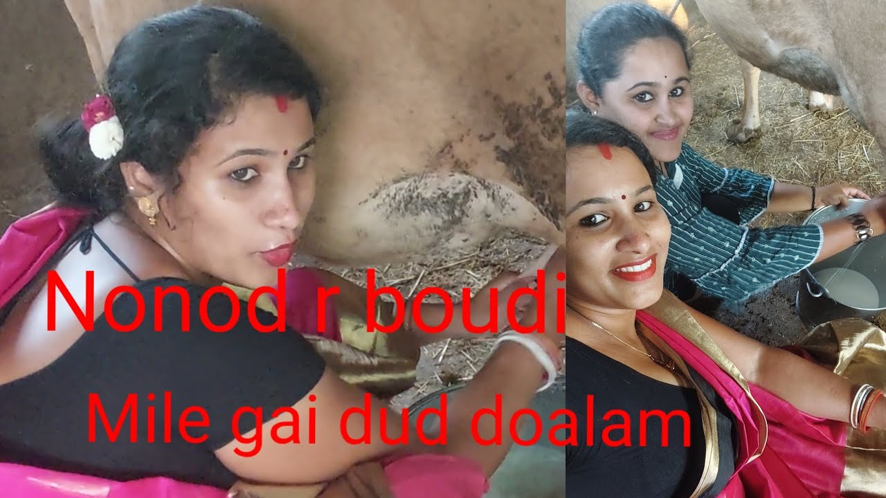 Nonod r boudi mise ajke gai dud doalam 🐄