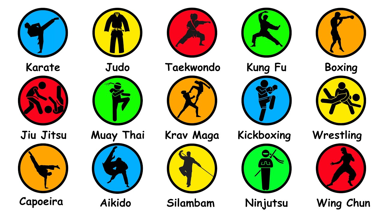 Every Martial Art  Type Explained in 8 Minutes