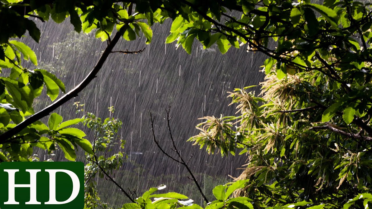 Regen - HD - Regenger&auml;usche und Naturger&auml;usche
