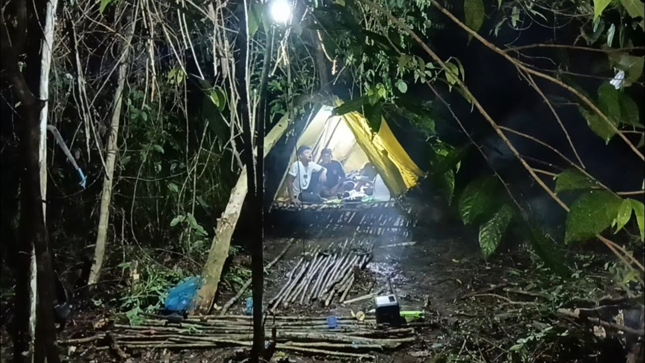 camping hujan deras membangun rumah gantung di atas rawa malam yang dingin makan enak tidur nyenyak