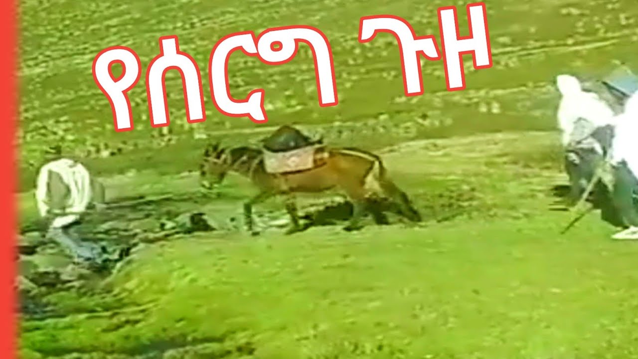 የሰርግ ጉዞ በገጠር