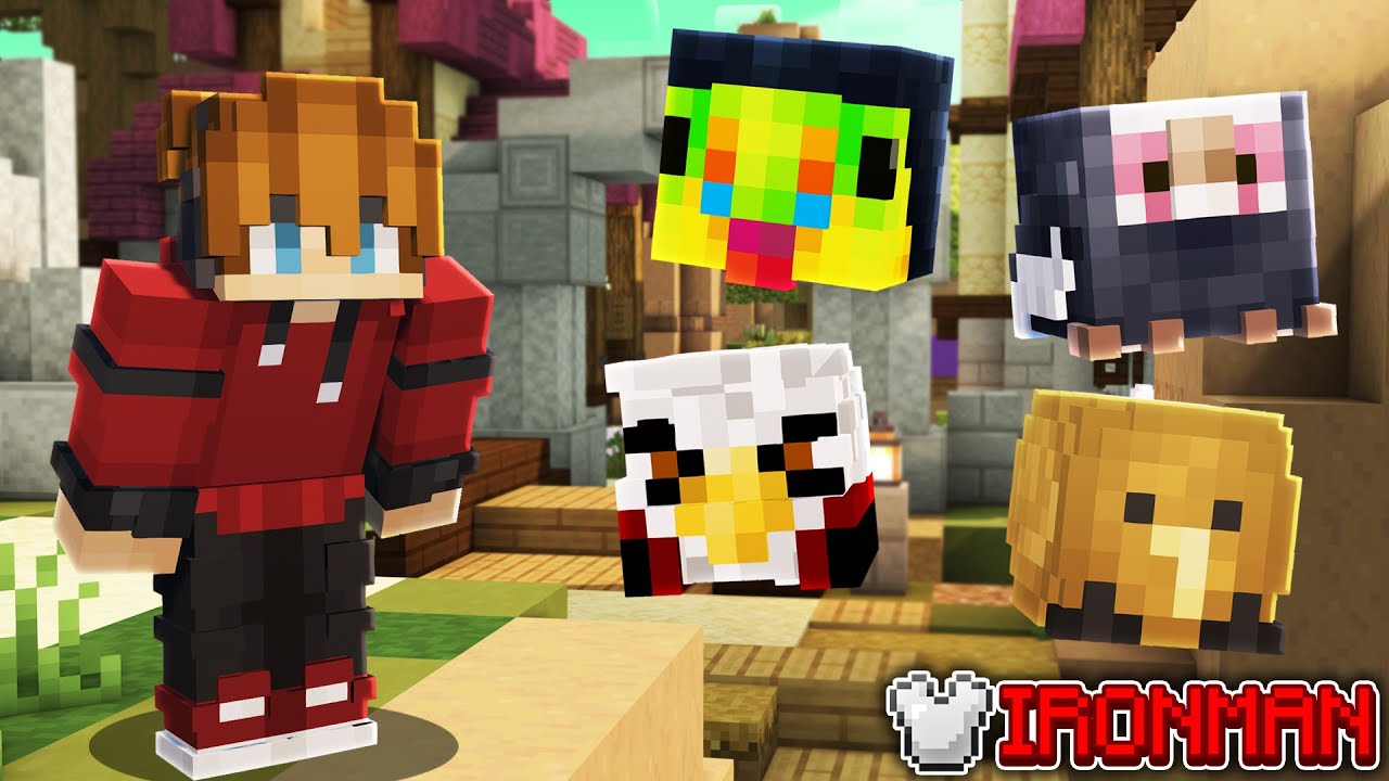 I HATE BIRDS... (Hypixel Skyblock Ironman) Ep.1027