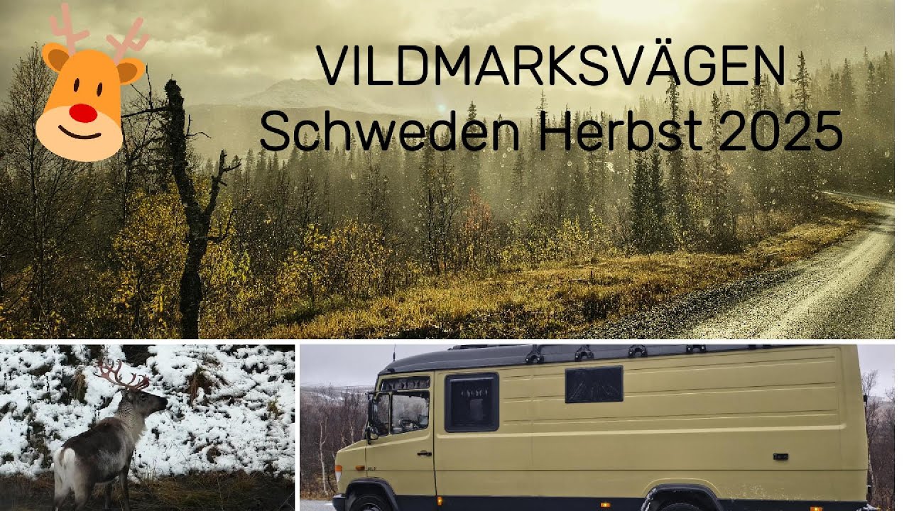 Vildmarksvägen, Schweden Herbst 2025
