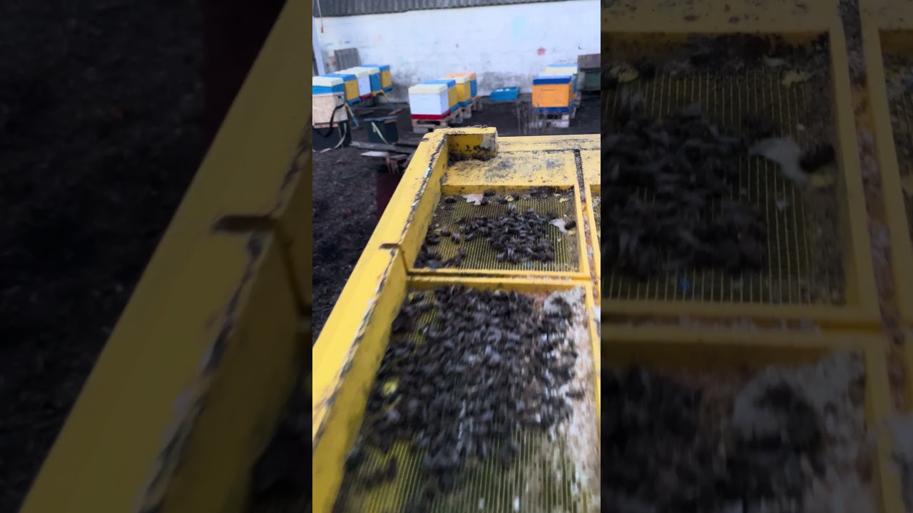 Готуйте підмор до огляду