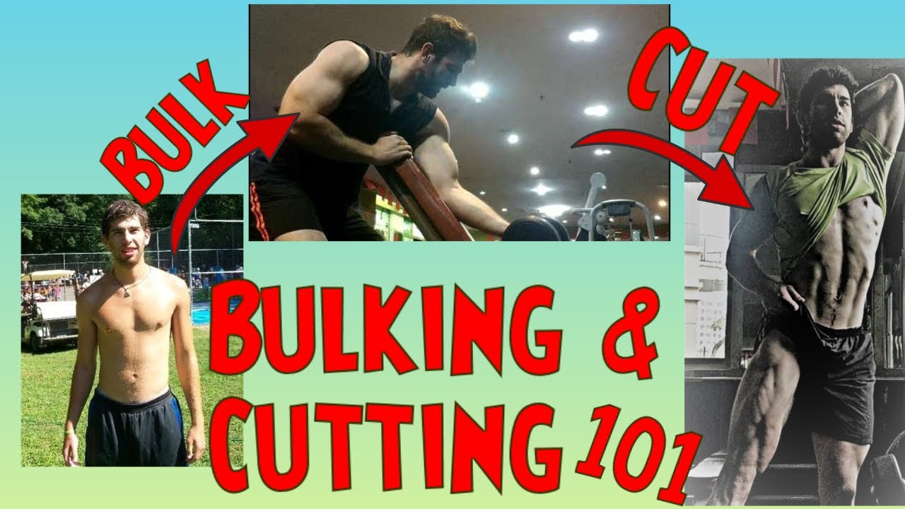 BULKING and CUTTING 101 (EVERYTHING you need to know!!!)