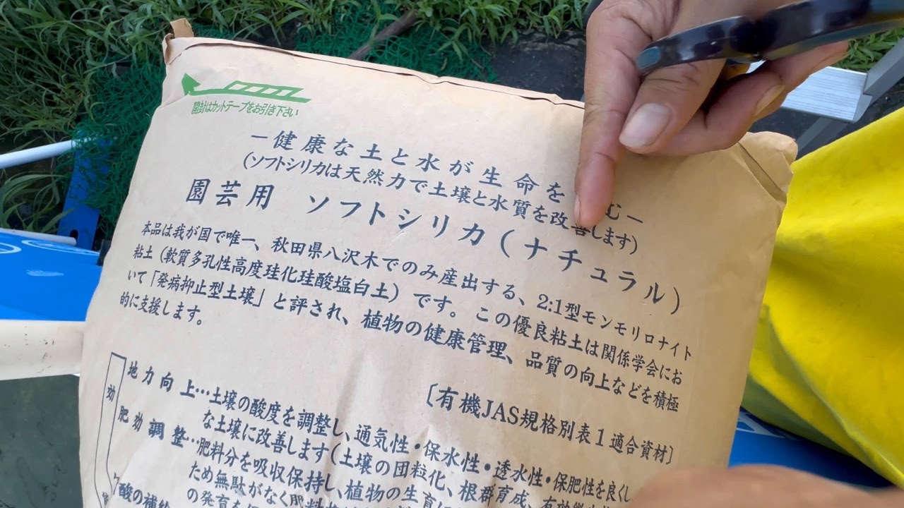 フレームプール池を本物の野池にする【実験】