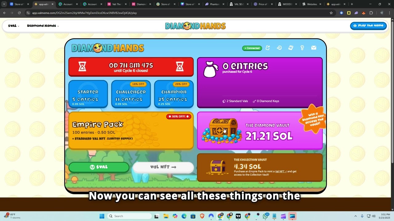 Diamond Hands Overview