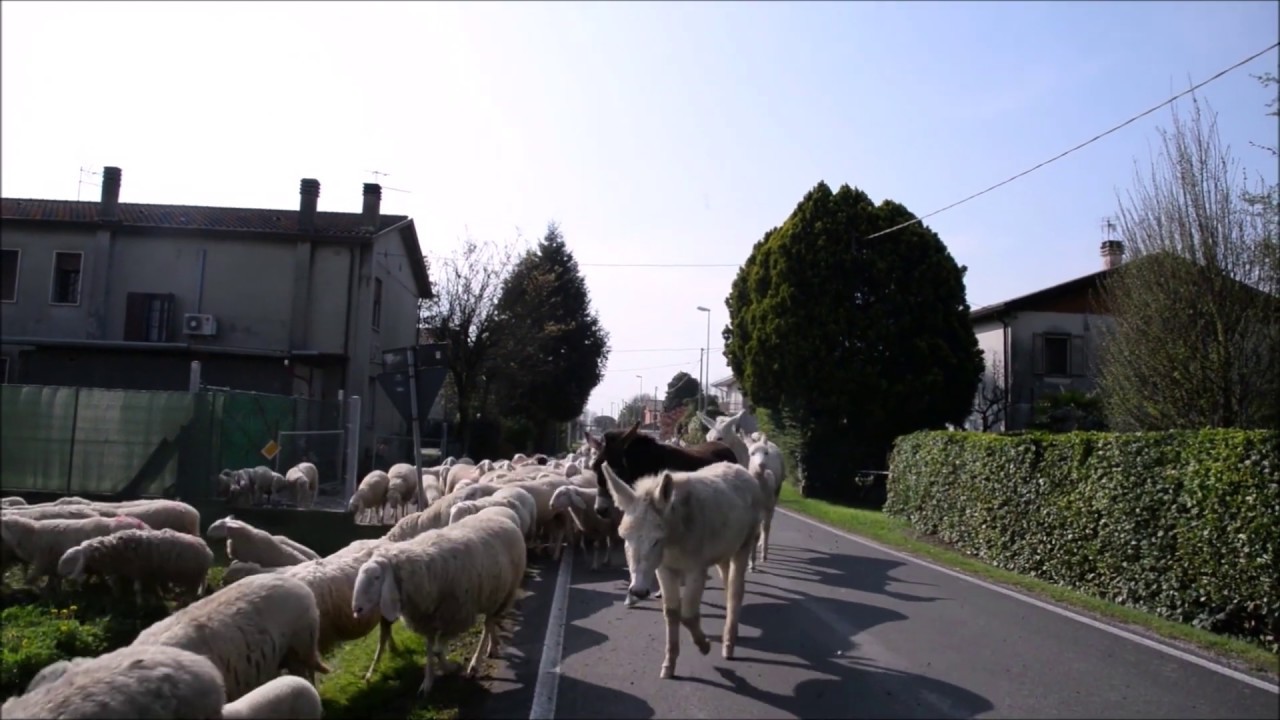 2019 Pastori Alice e Fabio a Piazzola sul Brenta