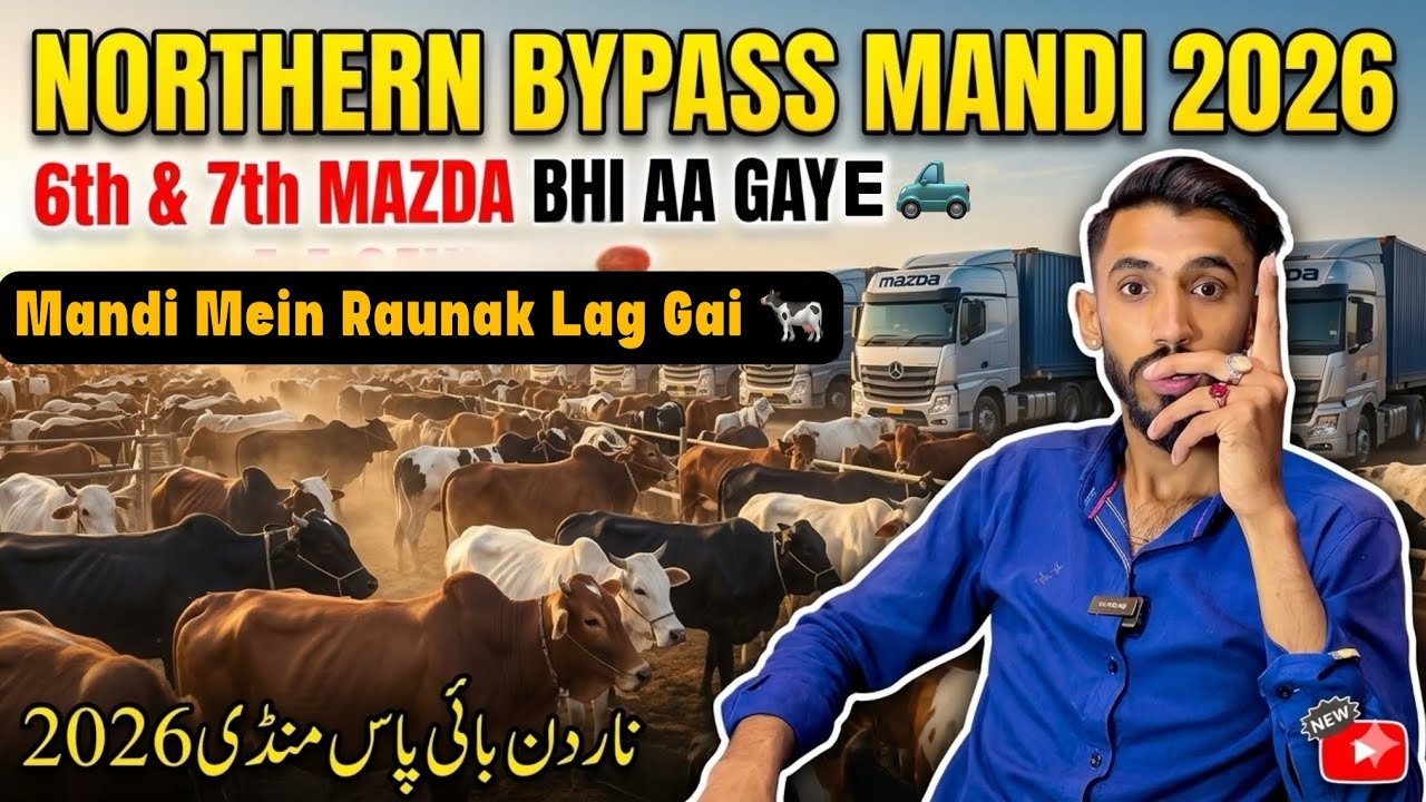 Karachi Cow Mandi 2026 Latest Update | Northern Bypass 6th & 7th Mazda Bhi Aa Gaye 😱 | Cow Mandi 