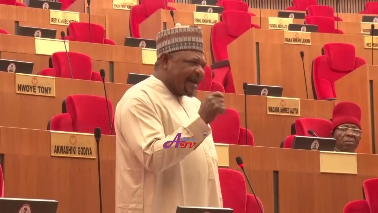 Flash Back: The Powerful Contribution of PDP Senator Abdul Ningi.