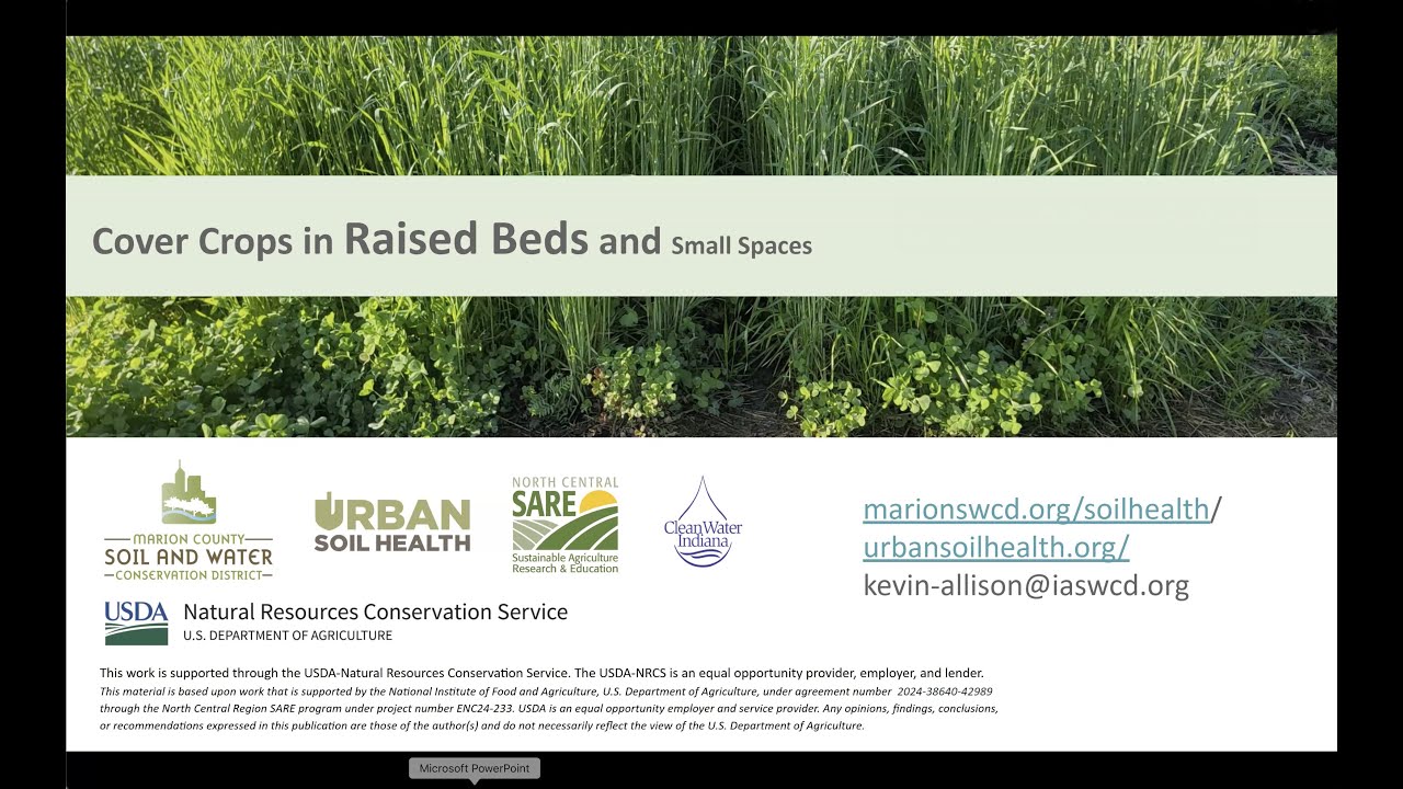 Cover Crops for Small Spaces