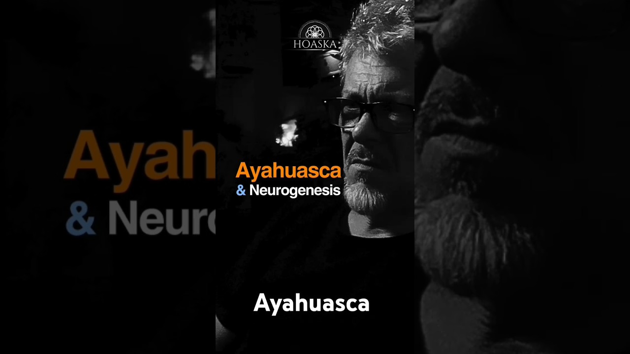 Ayahuasca Neurogenesis 