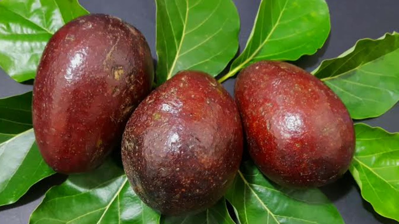 Frutiferas que se desenvolvem  melhor em solo úmido/ beira de rio, Lagos, beira de nascentes etc..