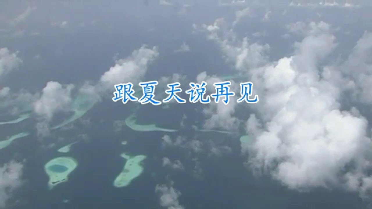 跟夏天说再见  刘文正