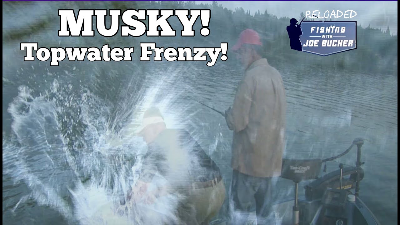 MUSKY!  Topwater Frenzy!!!